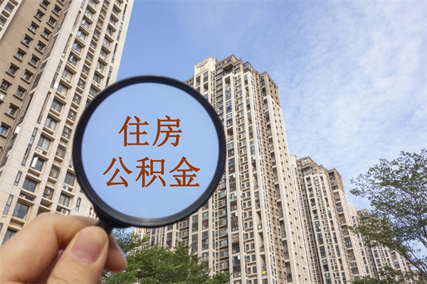 兴化广州公积金缴存证明在哪里开（兴化广州公积金缴存证明在哪里开具）